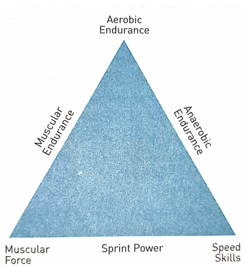 Q' 
Muscular 
Force 
Aerobic 
Endurance 
Sprint Power 
S eed 
kills 
